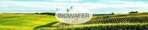 header_biowafer