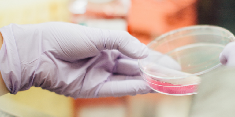 Life Science: due bandi regionali per l’internazionalizzazione in USA di imprese, start up e Laboratori