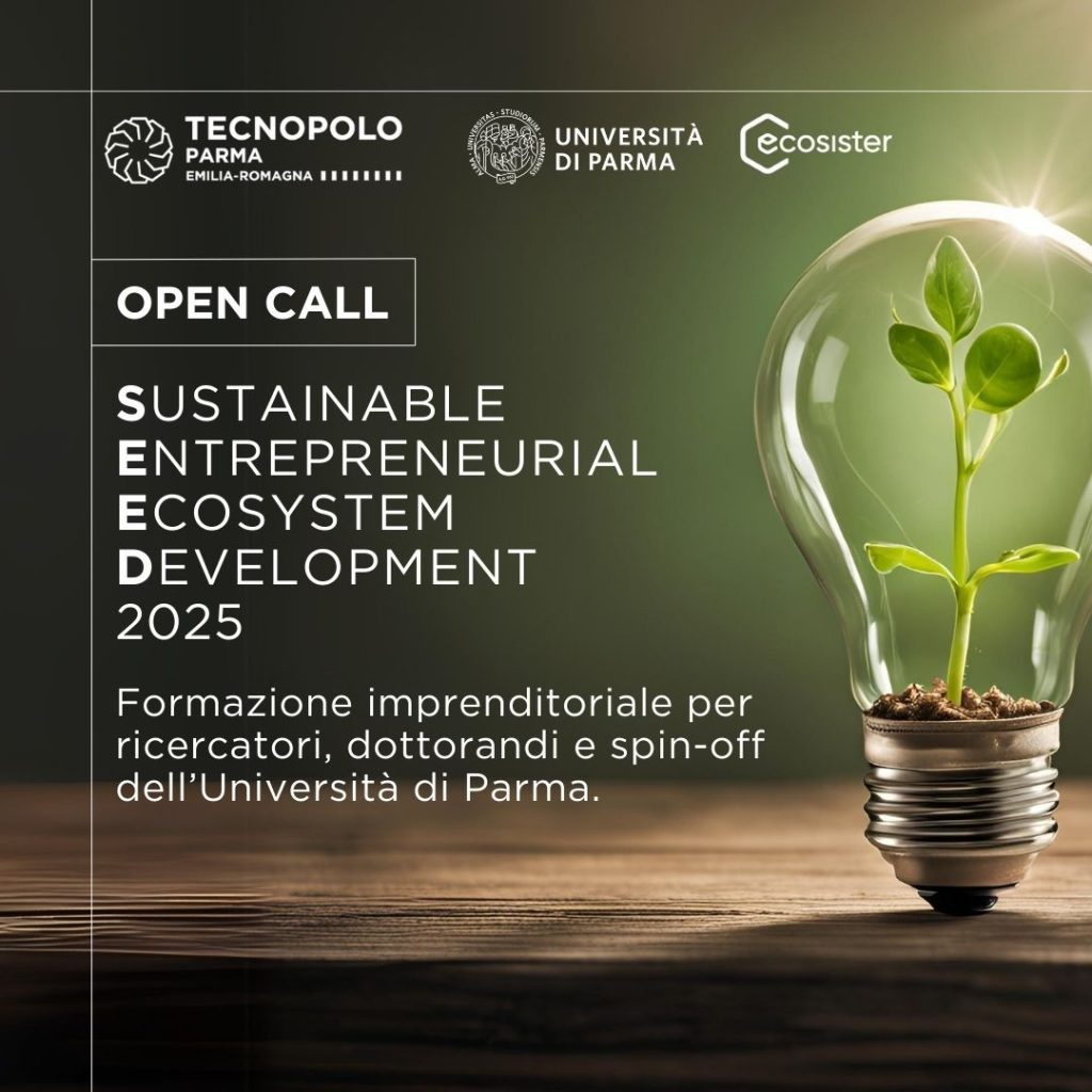 Programma SEED 2025 – Sustainable Entrepreneurial Ecosystem Development – Aperte le candidature
