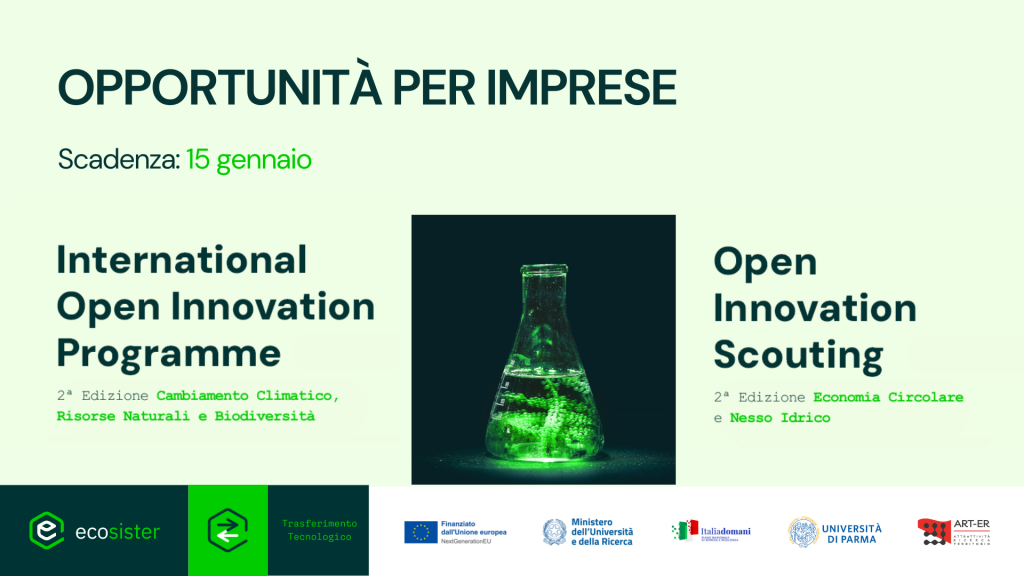 Opportunità per imprese | 2° edizione Bandi OIS e IOIP di Ecosister