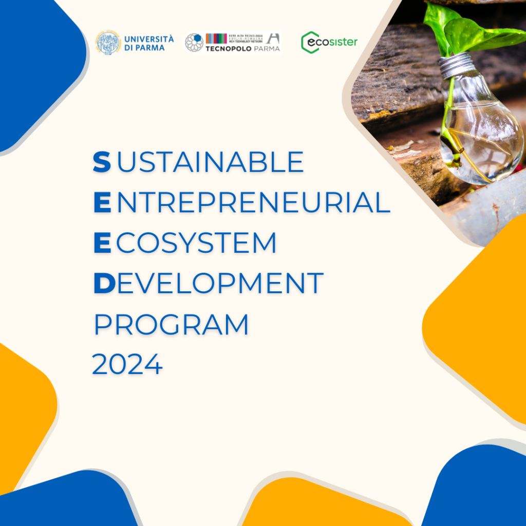 Programma SEED – Sustainable Entrepreneurial Ecosystem Development – edizione 2024